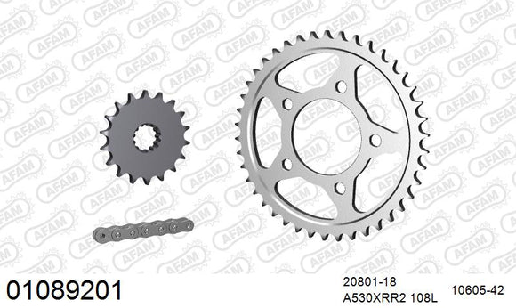 Honda CBX1000 1981-1982 - AFAM XS-ring Extra Reinforced Chain & Steel Sprocket Kit, 530 (OE Pitch) - 01089201 - P3 Tuning