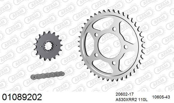 Honda VF1000R 1984-1986 - AFAM XS-ring Extra Reinforced Chain & Steel Sprocket Kit, 530 (OE Pitch) - 01089202 - P3 Tuning