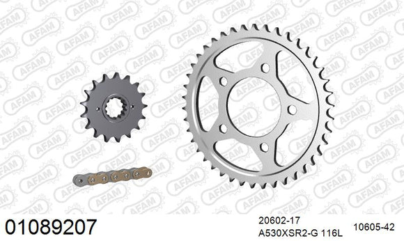 Honda CB1000F 1993-1997 - AFAM XS-ring super reinforced Chain & Steel Sprocket Kit, 530 (OE Pitch) - 01089207 - P3 Tuning