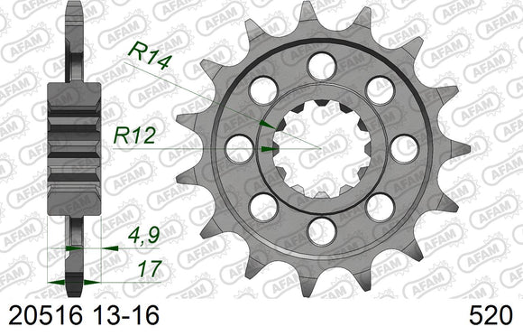 Honda CB600 Hornet 2000-2002 - AFAM XS-ring super reinforced Chain & Alu Sprocket Kit, 520 conversion - 01170403 - P3 Tuning