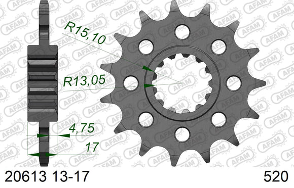Honda CB600 Hornet 2007-2013 - AFAM XS-ring super reinforced Chain & Alu Sprocket Kit, 520 conversion - 01170411 - P3 Tuning