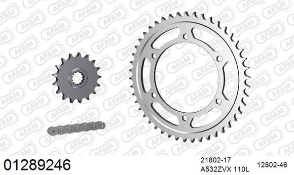 Yamaha YZF1000 Thunderace 1996-1997 - AFAM XS-ring special reinforced Chain & Steel Sprocket Kit, 532 conversion - 01289246 - P3 Tuning