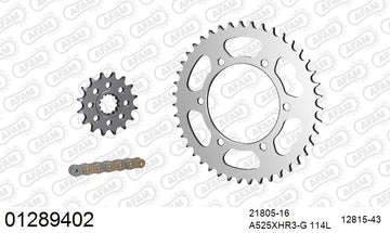Yamaha YZF-R1 1998-2001 - AFAM XS-ring Hyper reinforced Chain & Steel Sprocket Kit, 525 conversion - 01289402 - P3 Tuning