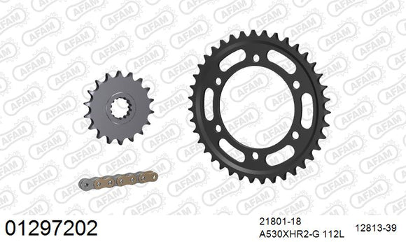 Yamaha XJR1300 / SP 2004-2007 - AFAM XS-ring Hyper reinforced Chain & Steel Sprocket Kit, 530 (OE Pitch) - 01297202 - P3 Tuning