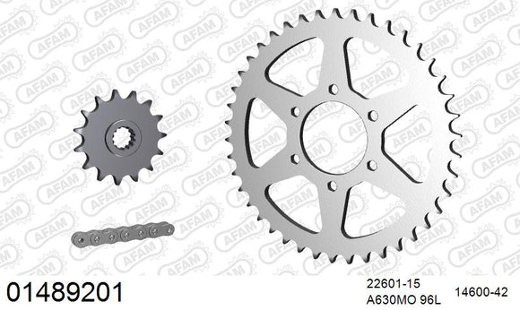 Suzuki GS1000E 1978-1980 - AFAM O-ring reinforced Chain & Steel Sprocket Kit, 630 (OE Pitch) - 01489201 - P3 Tuning