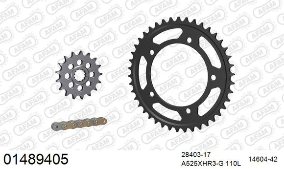 Suzuki GSX-R1000 2003-2004 - AFAM XS-ring Hyper reinforced Chain & Steel Sprocket Kit, 525 conversion - 01489405 - P3 Tuning