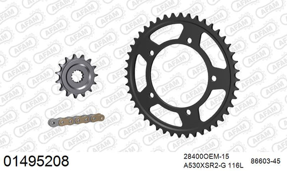 Suzuki GSF1200 Bandit 2006 - AFAM XS-ring super reinforced Chain & Rubber Damped Steel Sprocket Kit, 530 (OE Pitch) - 01495208 - P3 Tuning