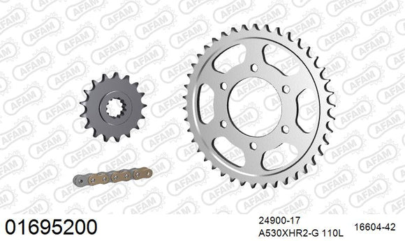 Kawasaki ZRX1200R / S 2002-2003 - AFAM XS-ring Hyper reinforced Chain & Steel Sprocket Kit, 530 (OE Pitch) - 01695200 - P3 Tuning