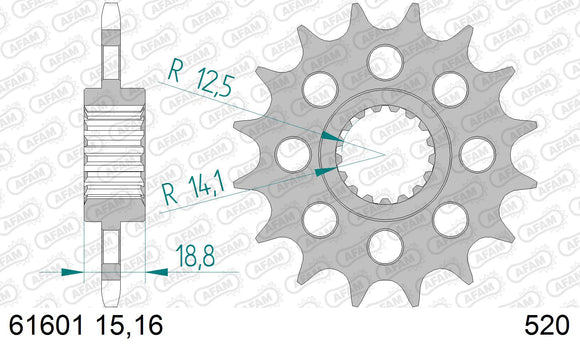 Aprilia RSV 1000 / R / Factory 2004-2008 - AFAM XS-ring Hyper reinforced Chain & Alu Sprocket Kit, 520 conversion - 03689403 - P3 Tuning