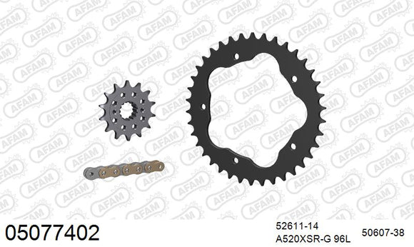 Ducati 748 E/S 2000-2002 - AFAM XS-ring super reinforced Chain & Steel Sprocket Kit, 520 conversion PCD1 - 05077402 - P3 Tuning