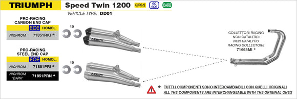 Triumph SPEED TWIN 1200 Nichrom Pro-Racing silencers (right & left) with carbon end cap