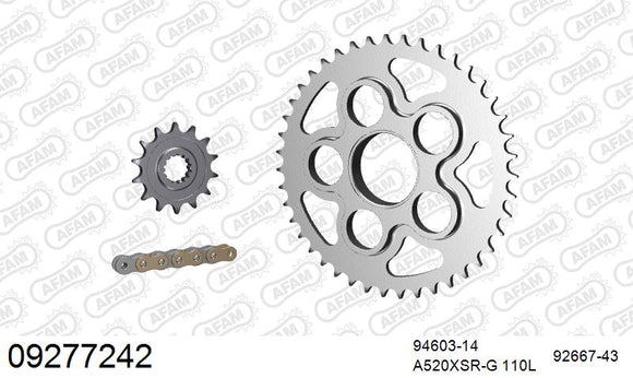 MV Agusta F-4 750 [F4] 2002 - AFAM XS-ring Extra Reinforced Chain & Steel Sprocket Kit, 520 (OE Pitch) - 09277242 - P3 Tuning