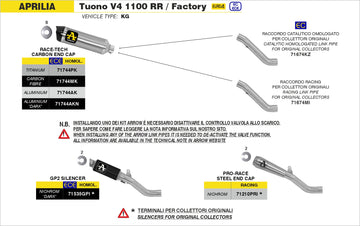 Aprilia TUONO V4 1100 GP2 "Dark" silencers kit - 0