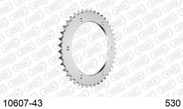 Honda VFR800 1998-2001 - AFAM Rear Sprocket, 530 (OE Pitch), Steel - 43T (orig size) - 10607-43 - P3 Tuning