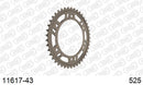 Honda CBR1000RR Fireblade 2006-2007 - AFAM Rear Sprocket, 525 conversion, Alu - 43T, 116 links reqd - 11617-43 - P3 Tuning