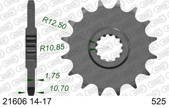 Benelli Leoncino 500 / Trail 2018-2021 - AFAM XS-ring Extra Reinforced Chain & Steel Sprocket Kit, 525 (OE Pitch) - 18859551 - P3 Tuning