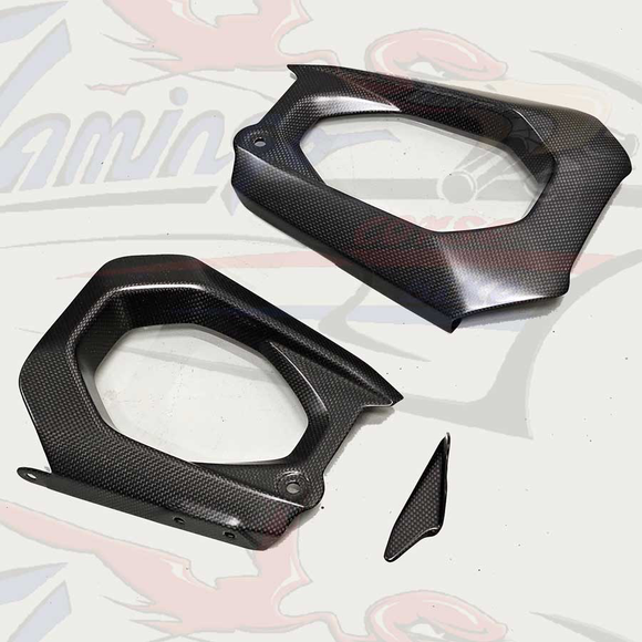 Flamingo Corse - DUCATI PANIGALE V4 / S 2025 STREETFIGHTER V4 2025 Carbon Swingarm protection kit