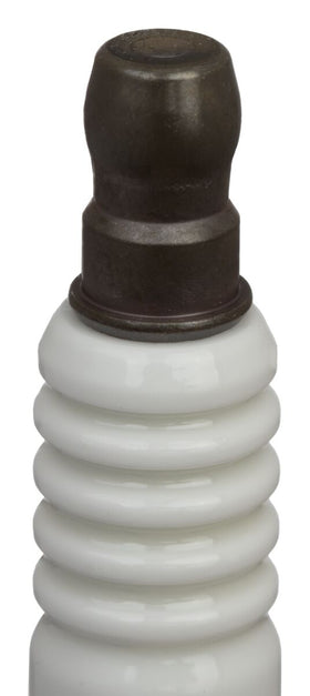 NGK Spark Plug SUZUKI UN 125 CBS (2023) - 0