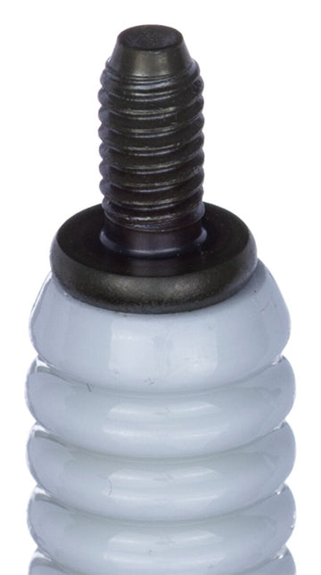 NGK Spark Plug HONDA GB 350 S ABS (2025) - 0
