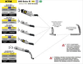 KTM 890 Duke R GP2 silencers kit - 0