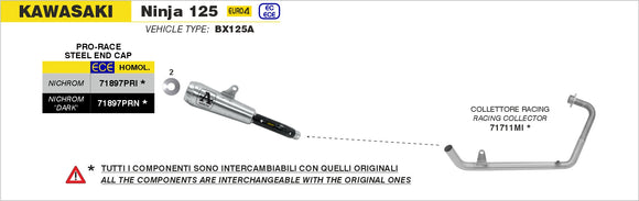 Kawasaki NINJA 125 Nichrom Pro-Race silencer