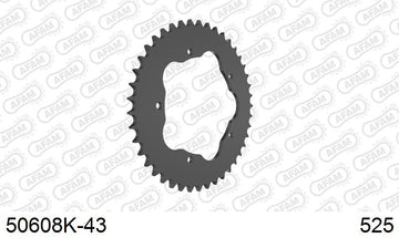 Ducati Multistrada 1100 DS (1000cc) 2007-2009 - AFAM Rear Sprocket, 525 conversion, Steel PCD2 - 43T, 106 links reqd, fits PCD2 - 50608K-43 - P3 Tuning