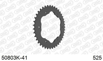 Ducati Monster 1200 / S 2019-2020 - AFAM Rear Sprocket, 525 conversion, Steel PCD4 - 41T (orig size), fits PCD4,S PCD4 - 50803K-41 - P3 Tuning