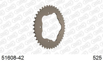 Ducati Monster 1100 / S 2009-2010 - AFAM Rear Sprocket, 525 conversion, Alu PCD2 - 42T, 106 links reqd, fits PCD2 - 51608-42 - P3 Tuning