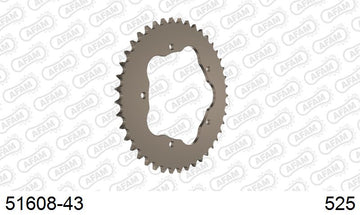 Ducati Hypermotard 1100 2007-2009 - AFAM Rear Sprocket, 525 conversion, Alu PCD2 - 43T, 106 links reqd, fits PCD2 - 51608-43 - P3 Tuning