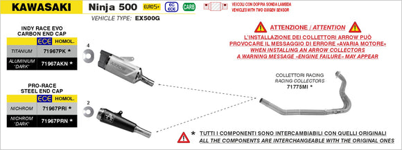 Kawasaki NINJA 500 Indy Race EVO aluminium "Dark" silencer with carby end cap