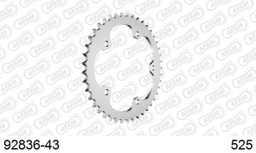 MV Agusta 1000 Brutale 2022-2023 - AFAM Rear Sprocket, 525 conversion, Steel - 43T, 114 links reqd, fits RR,RS Version - 92836-43 - P3 Tuning