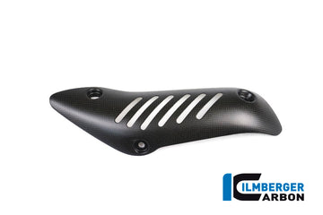 DUCATI Monster 1200 R (2016-2020) Ilmberger Exhaust Protection Manifold (Satin Finish)