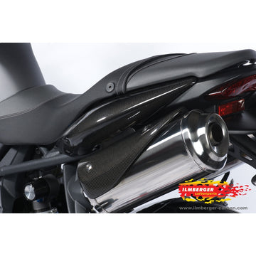 TRIUMPH Street Triple R 675 (2009-2012) Ilmberger Carbon Exhaust Protection (Left)