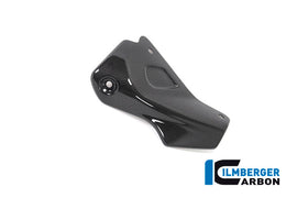 DUCATI Monster 1200 / S (2017-2021) Ilmberger Carbon Exhaust Cover - Gloss Finish