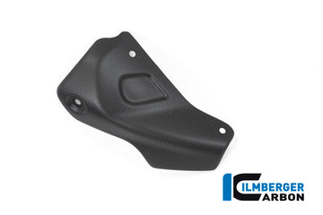 DUCATI Monster 1200 R (2016-2020) Ilmberger Exhaust Protector (Satin Finish)