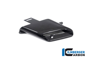 DUCATI Diavel V4 / RS (2023-2026) Ilmberger Carbon LH Air Tube Outlet (Gloss Finish)