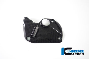 DUCATI Monster 1200 / S (2017-2021) Ilmberger Carbon Cover Under The Frame (Right) - Gloss Finish
