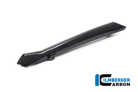 BMW R1250RS (2019-2025) Ilmberger Carbon Brake Pipe Cover