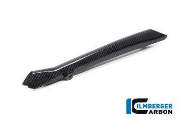 BMW R1250GS (2019-2023) Ilmberger Carbon Rear Brake Pipe Cover