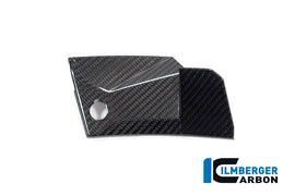 BMW S1000XR (2024-2026) Ilmberger Gloss Carbon Cover Near The Instruments (left side)