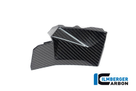 BMW S1000XR (2020-2023) Ilmberger Gloss Carbon Cover Near The Instruments RH Side