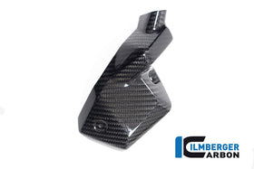 BMW R1300R (2025-2026) Ilmberger Carbon Injector Cover (Left Hand Gloss)