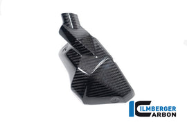 BMW R1300GS (2023-2026) Ilmberger Carbon Injector Cover (Right Hand Gloss)