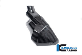 BMW R1300GS (2023-2026) Ilmberger Carbon Injector Cover (Right Hand Gloss)