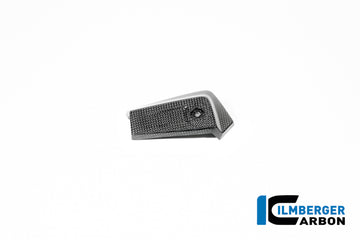 BMW R 12 S (2025-2026) Ilmberger Carbon Oil Cooler Cover LH (Gloss)