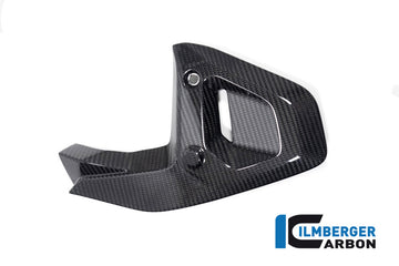 BMW R1300GS (2023-2026) Ilmberger Carbon Triangular Frame Cover (Left Hand Gloss)