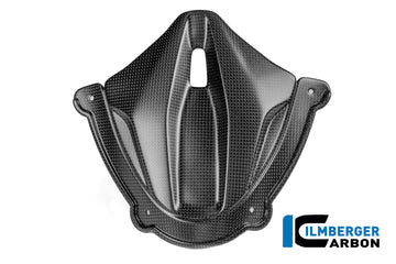 DUCATI Panigale V4 / S / R (2025-2026) Ilmberger Carbon Instrument cover (Matt) - (V4 / S Models)