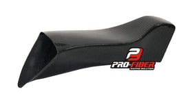 TRIUMPH DAYTON 675 R (06-12) PRO FIBER CARBON FRONT FENDER