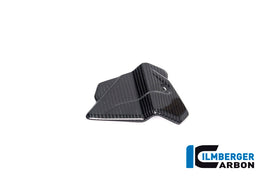 BMW M1000R Naked (2023-2024) Ilmberger Gloss Carbon Electrical Cable Cover