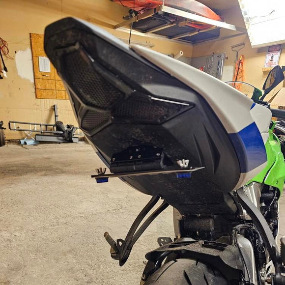 Kawasaki ZX6R Flip N Dip